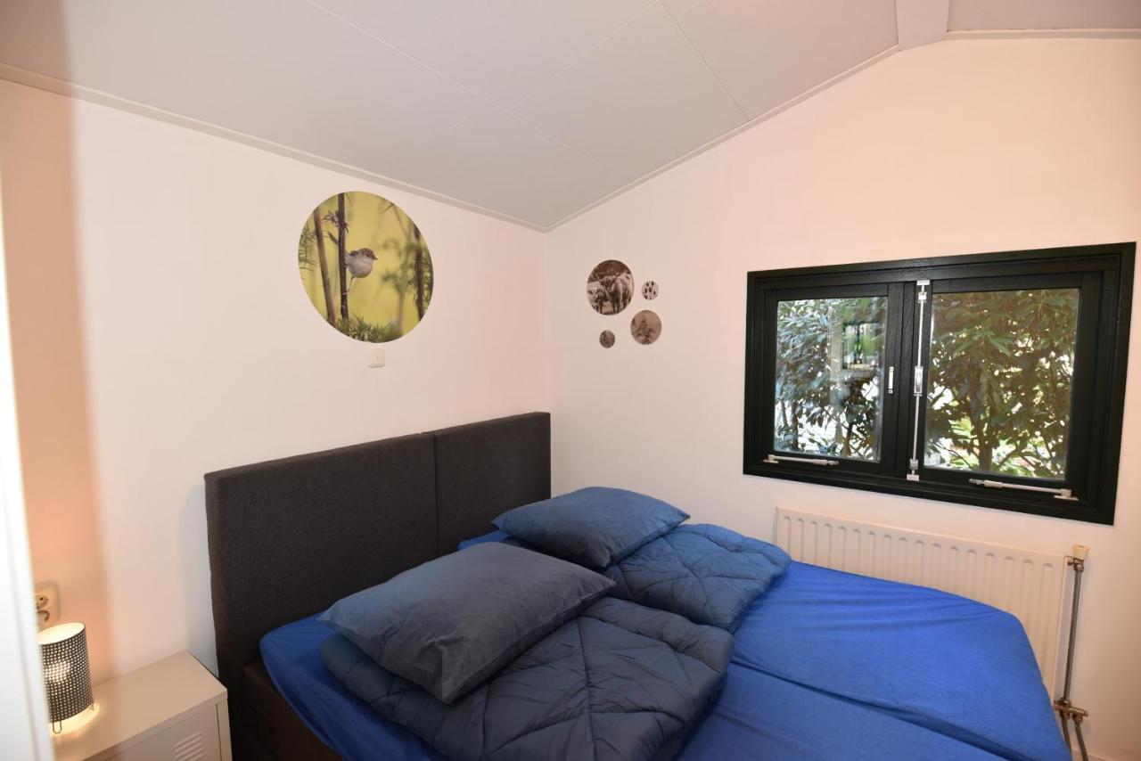 Chalet Albatros Diever Exterior photo